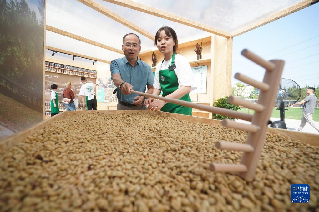 白菜网2018